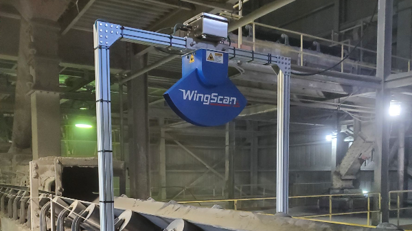 WingScan Belt