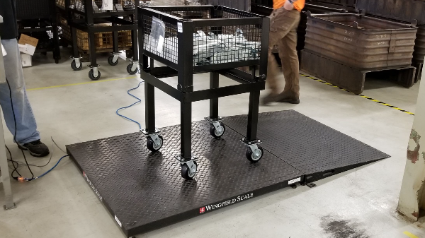 Dual Counting Platform Scale Rental