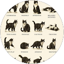 Jessica Weaver profile picture