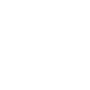 icon showing the wingscan load scanner button is clickable